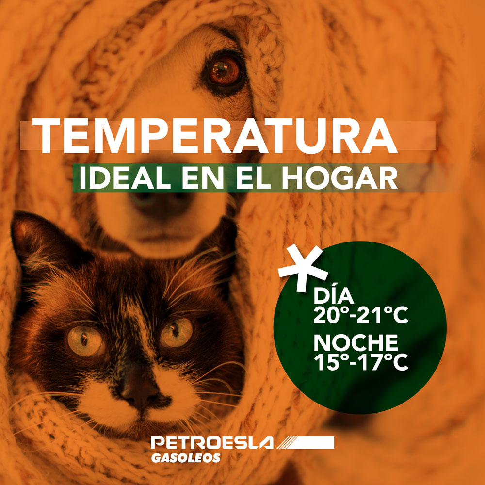 Temperatura hogar Petroesla, gasóleo a domicilio en León